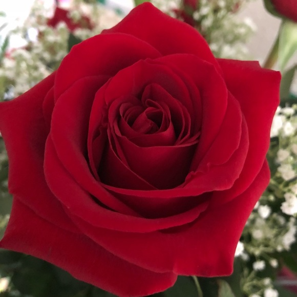 Meet your Posher, Patchara - Picture 1 of 1